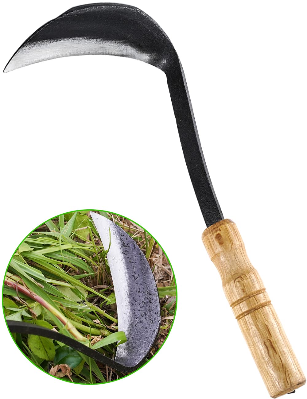 TOYPOPOR 11 inch Weeding Sickle Hoe front view with sharp blade