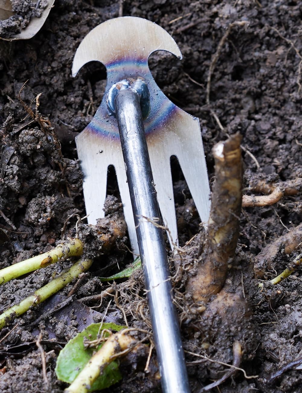 TOYPOPOR 4 teeth weeder side view