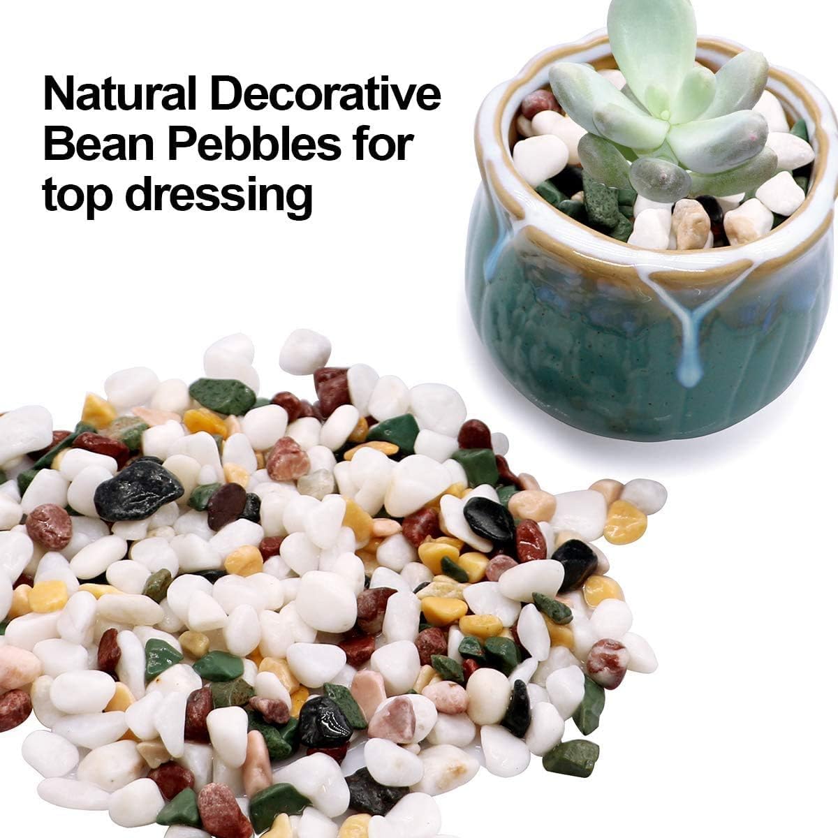 TOYPOPOR 6LB gravel pebbles in a garden planter