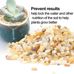TOYPOPOR Coarse Silica Sand in an aquarium setting