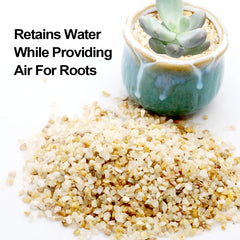 TOYPOPOR Coarse Silica Sand used in a terrarium