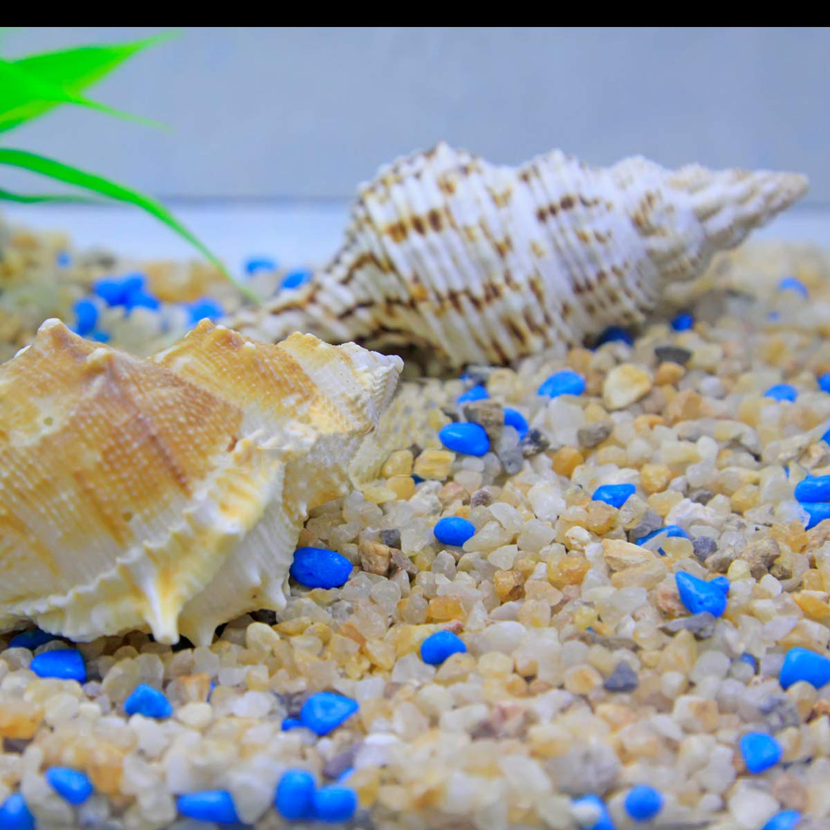 TOYPOPOR Coarse Silica Sand with potted plants