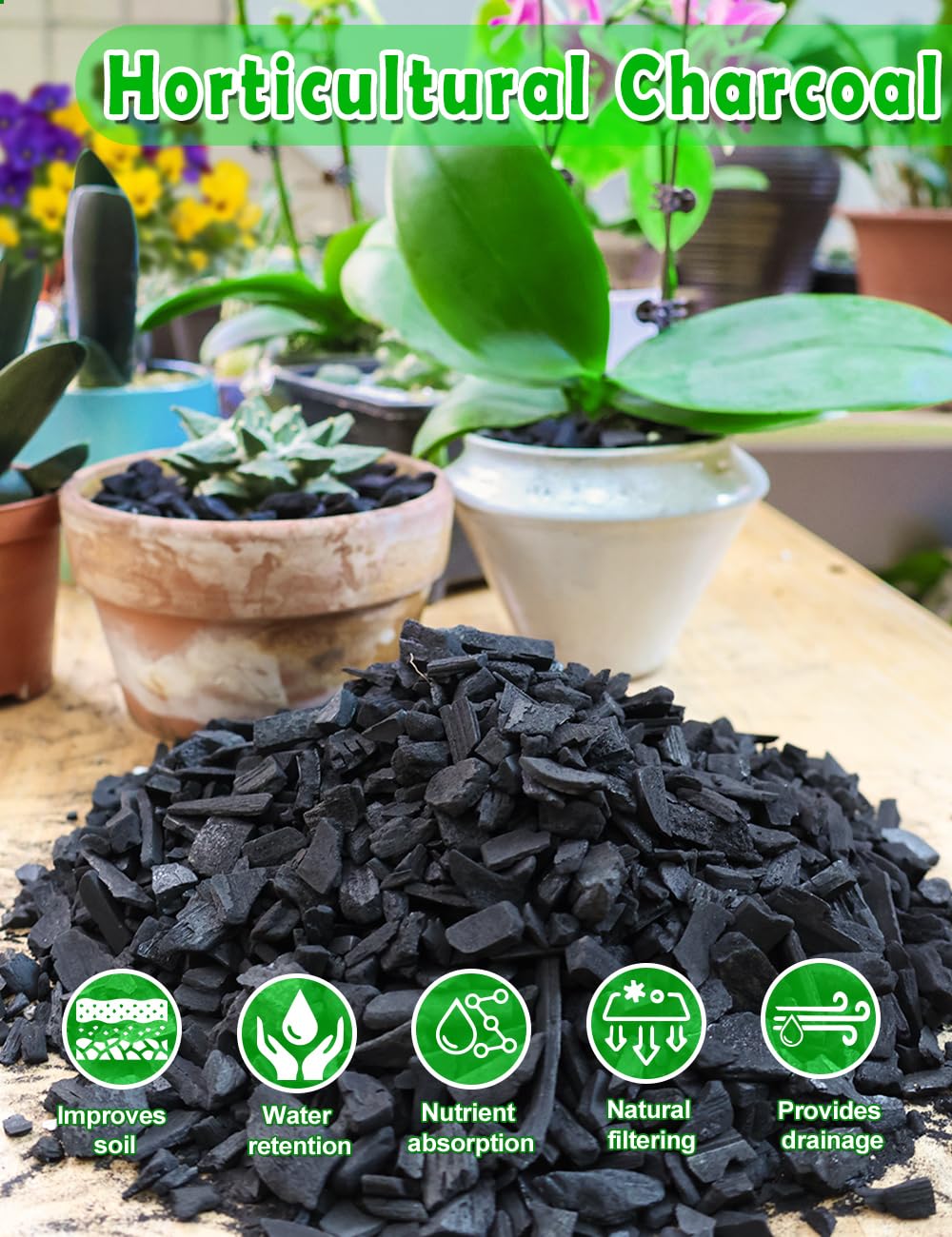 TOYPOPOR Horticultural Charcoal in use with potted plants
