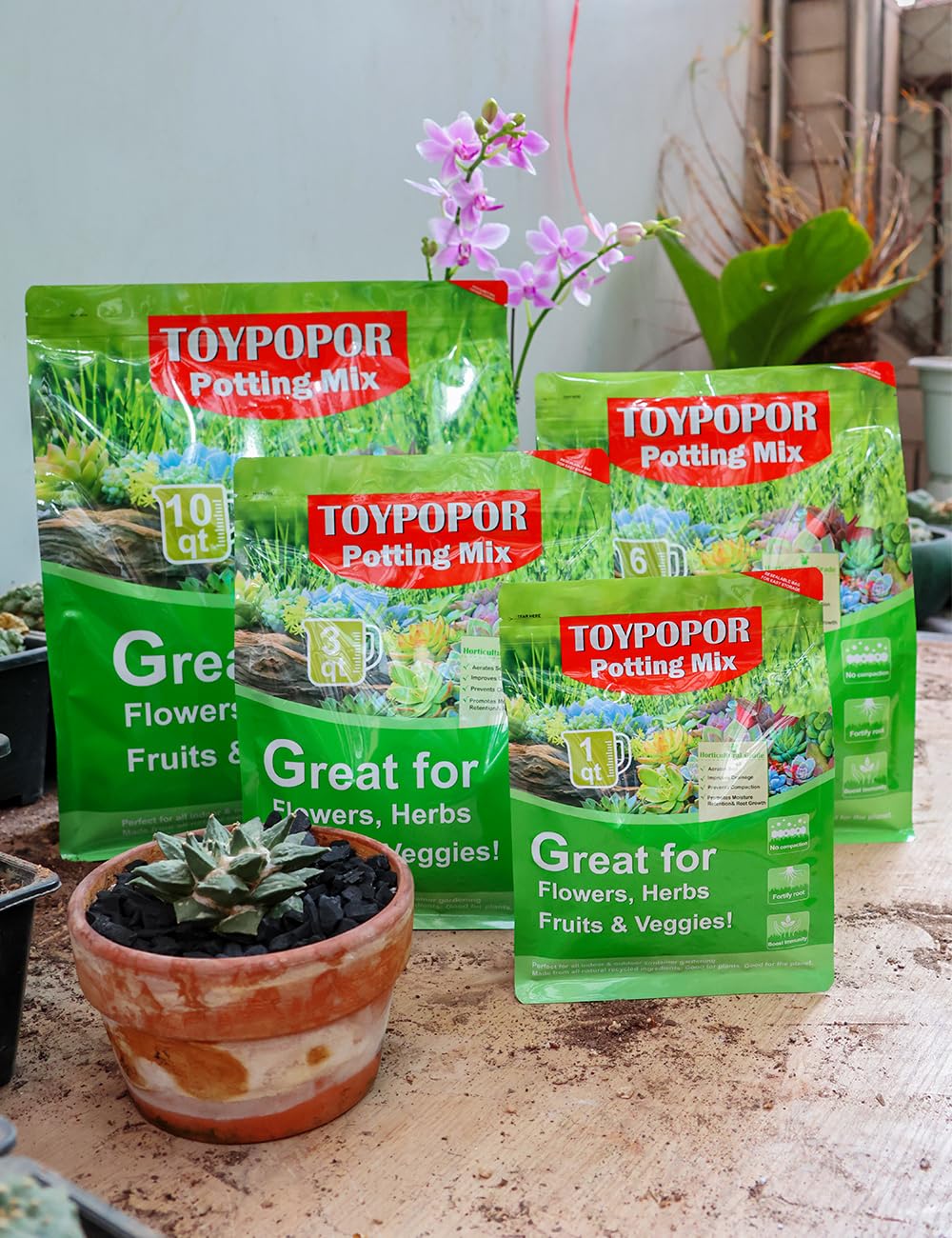TOYPOPOR Horticultural Charcoal packaging details