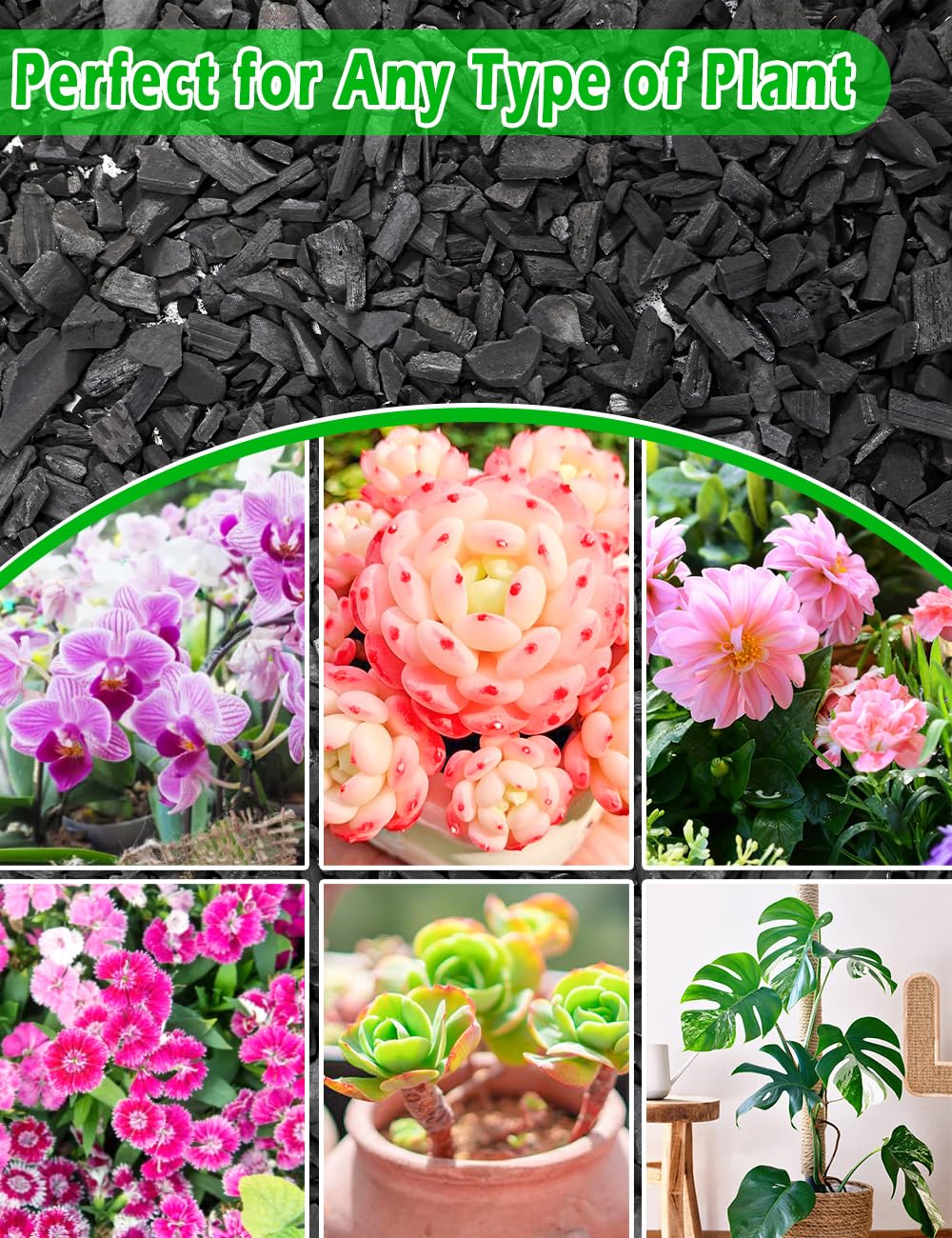 TOYPOPOR Horticultural Charcoal showing small pieces