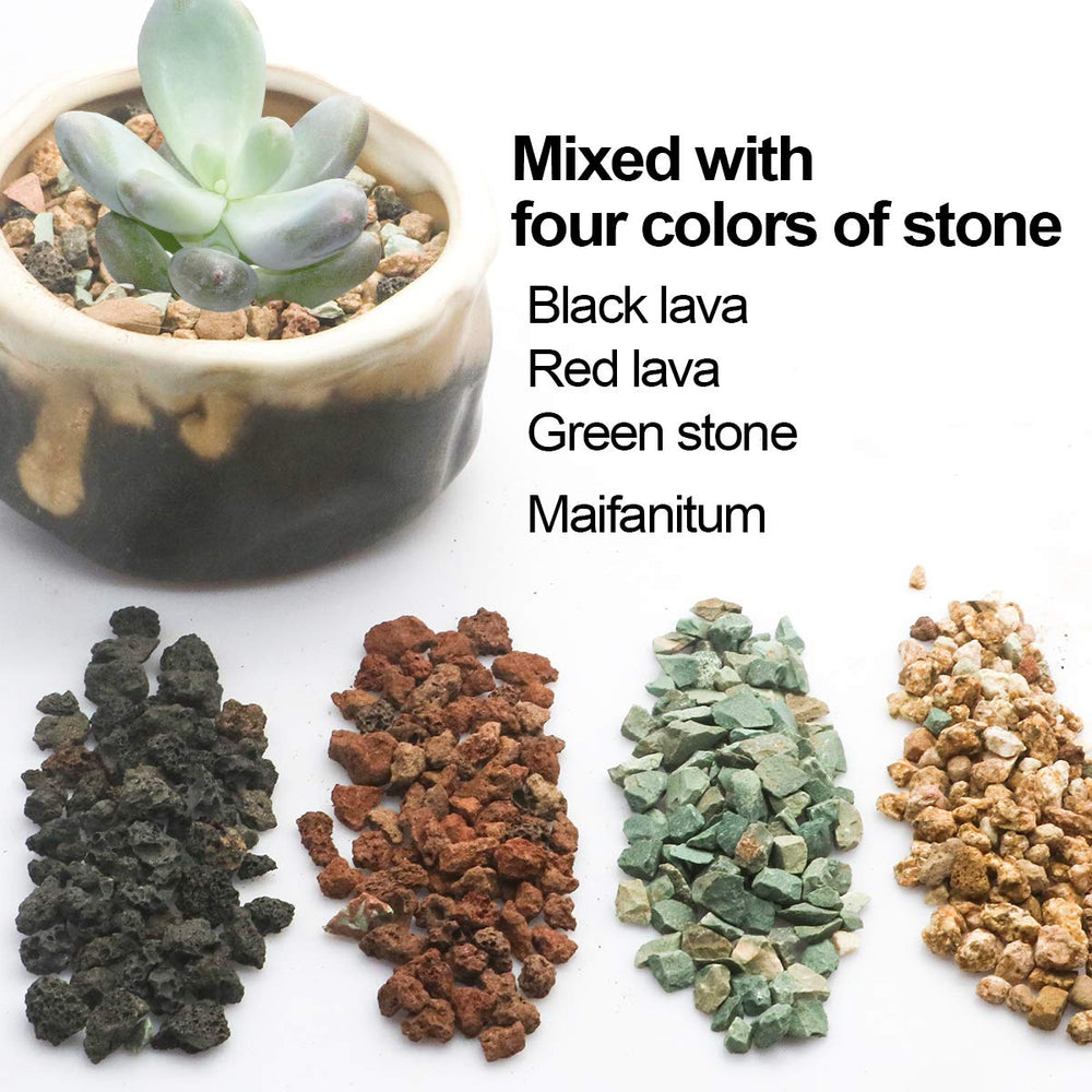 TOYPOPOR Lava Pebbles used in a terrarium