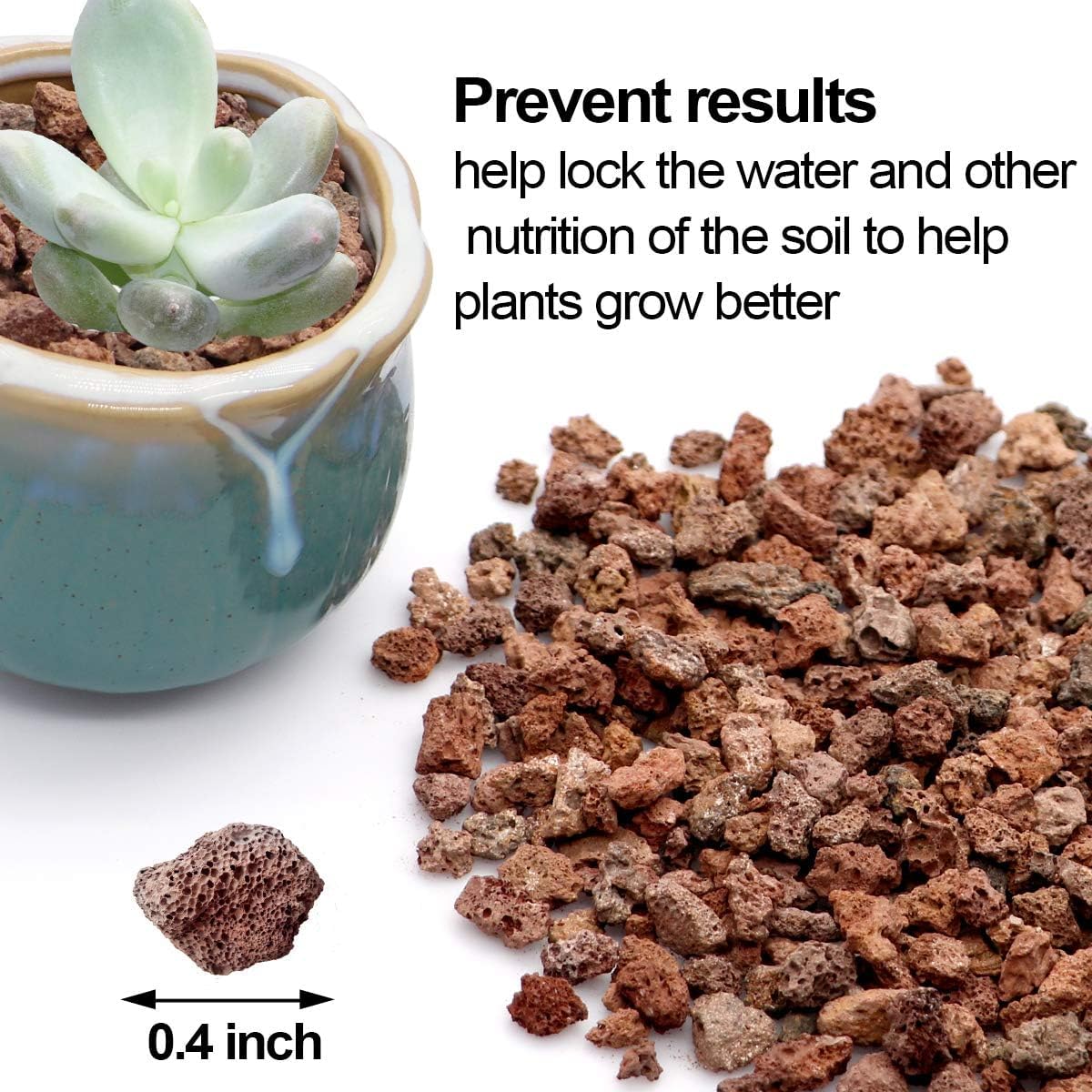 TOYPOPOR Lava Rocks in a planter with succulents