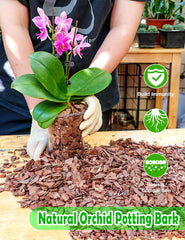TOYPOPOR Orchid Potting Mix being poured into an orchid pot