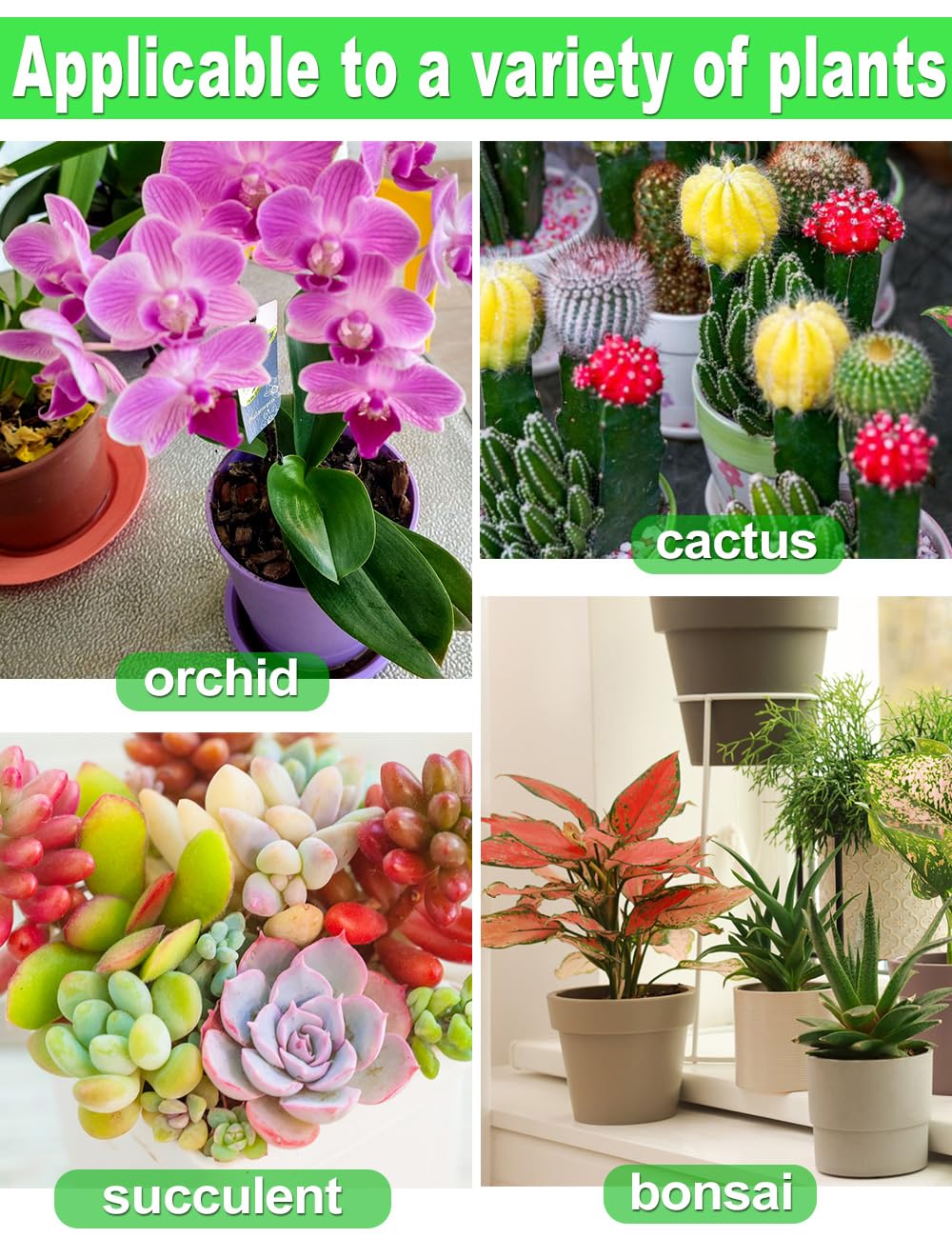 TOYPOPOR Orchid Potting Mix in use in a gardening setup