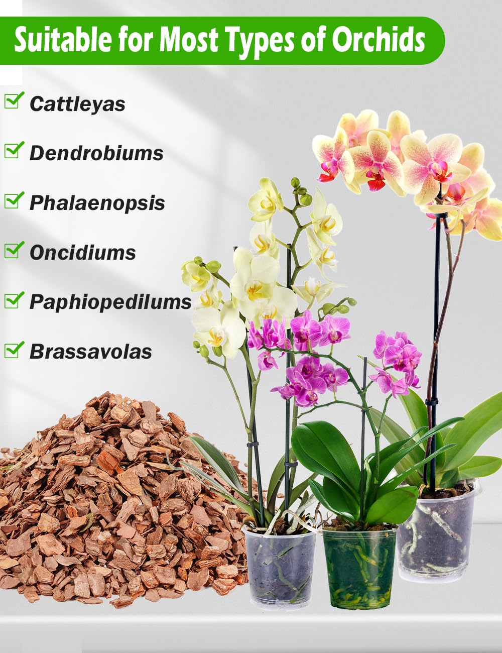 TOYPOPOR Orchid Potting Mix packaging back view with details