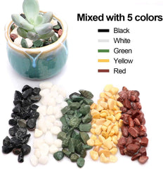 TOYPOPOR pebbles in a terrarium setting