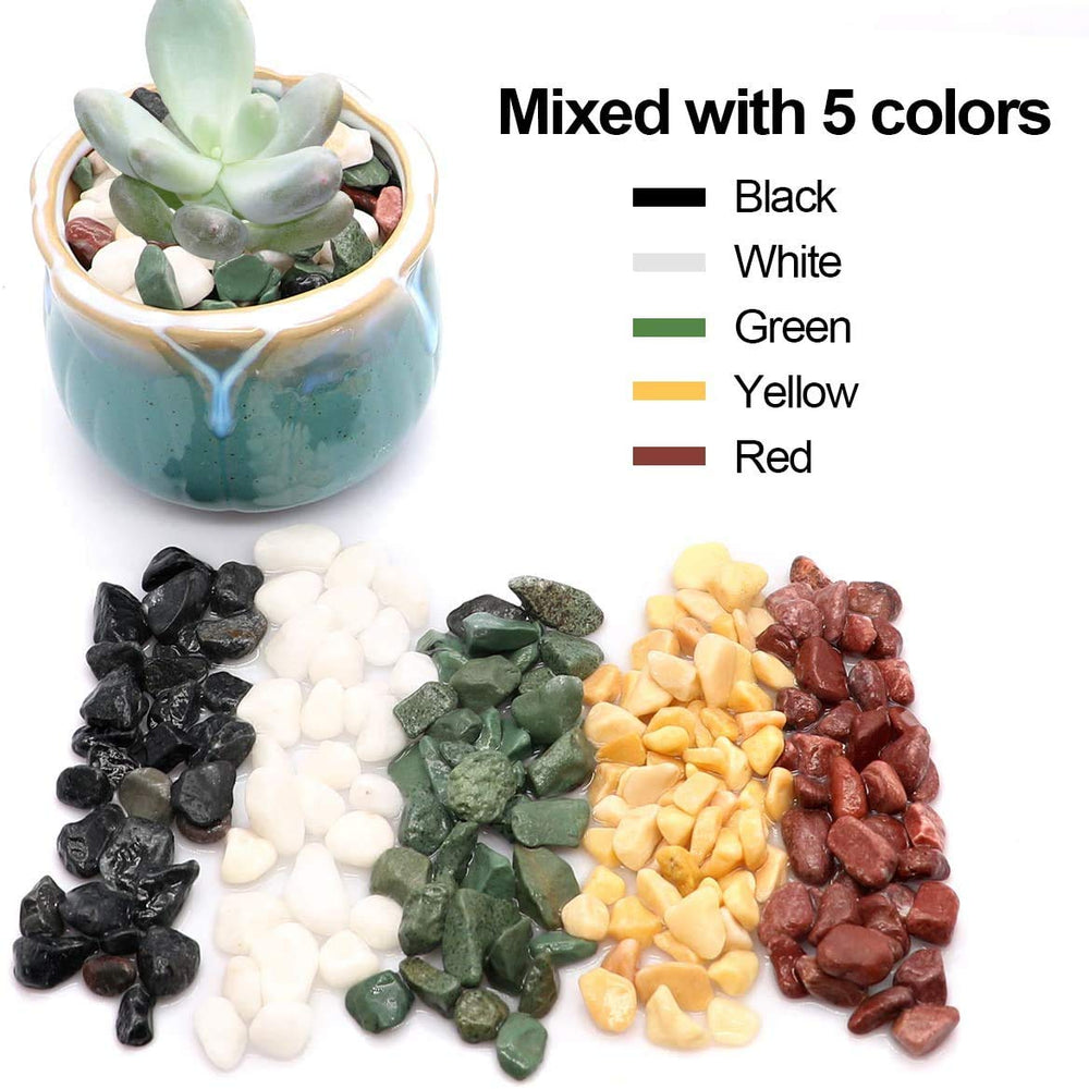 TOYPOPOR pebbles with a measuring scale for size reference
