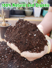 TOYPOPOR Potting Soil 1 qt showing texture and ingredients