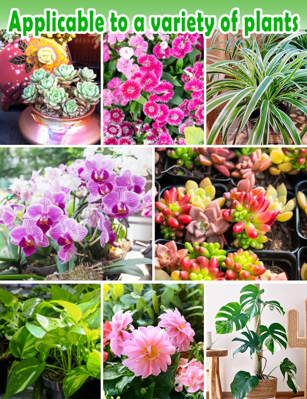 TOYPOPOR Potting Soil texture displayed in hand