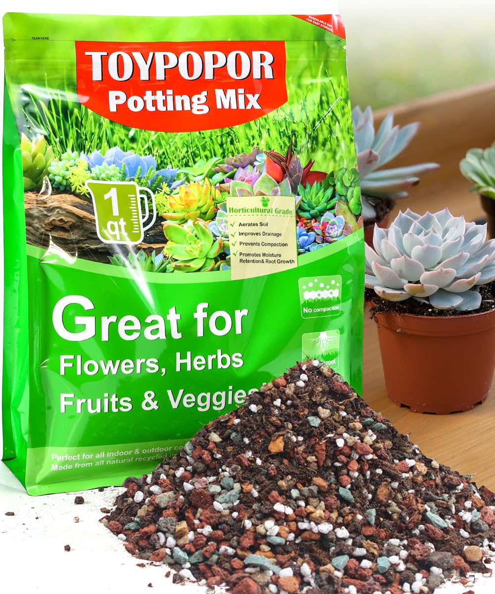 TOYPOPOR Succulent Soil Mix 1 Quart package front view