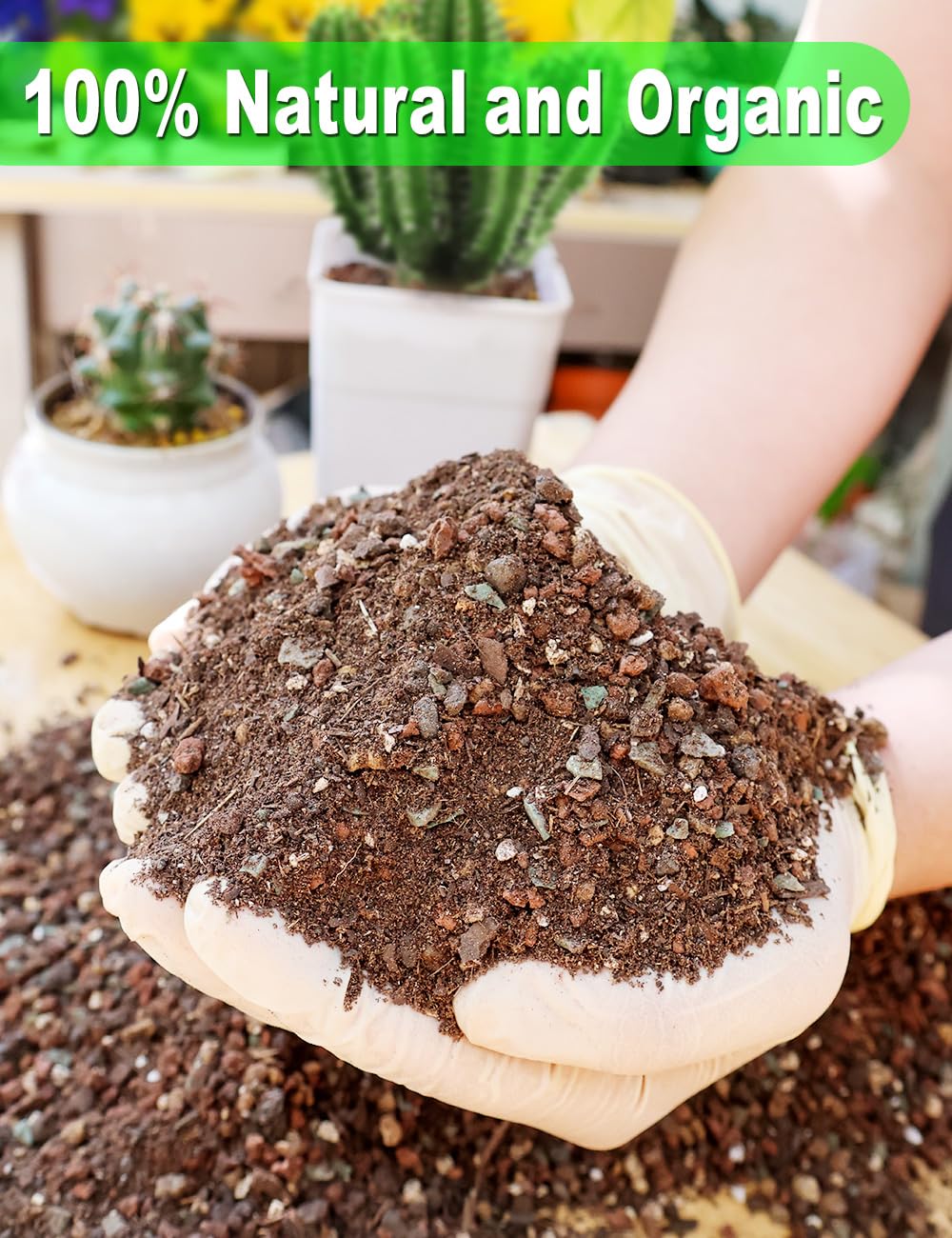 TOYPOPOR Succulent Soil Mix being poured into a pot