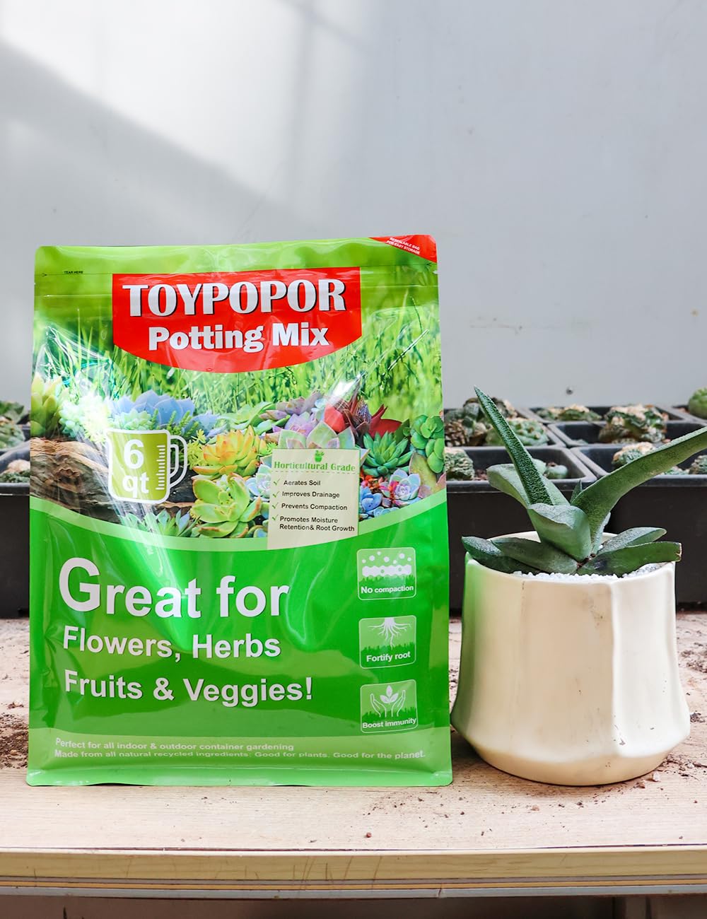 TOYPOPOR Succulent Soil Mix displayed with gardening tools