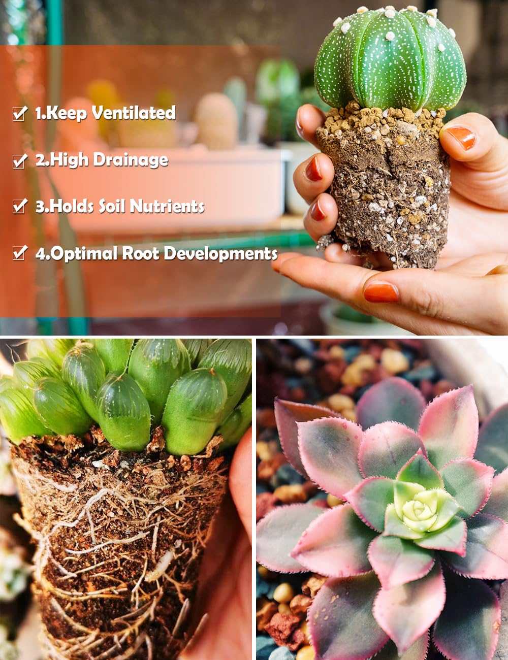 TOYPOPOR Succulent Soil Mix packaging details
