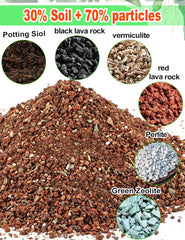 TOYPOPOR Succulent Soil Mix showing texture and granules