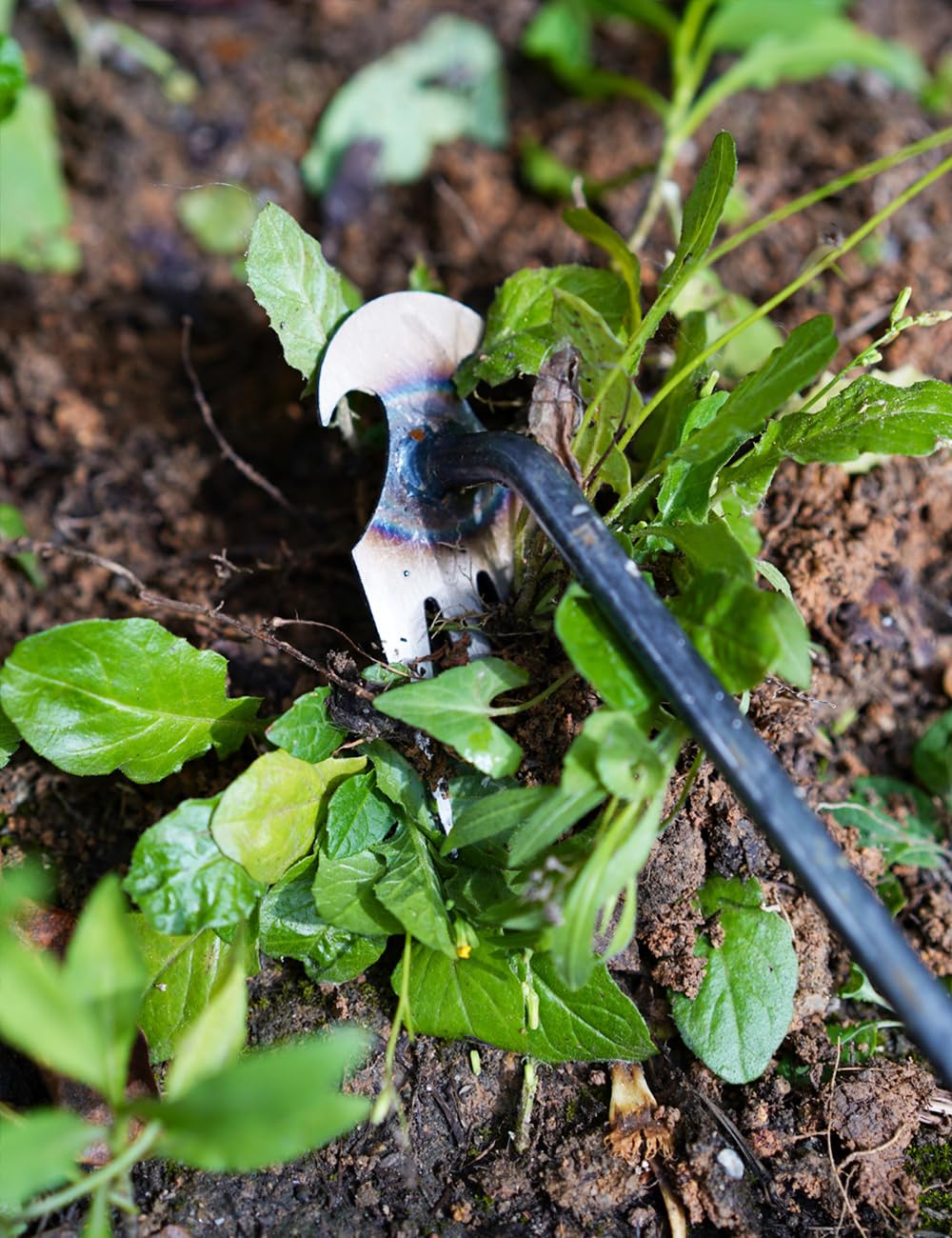 TOYPOPOR weeding tool packaging