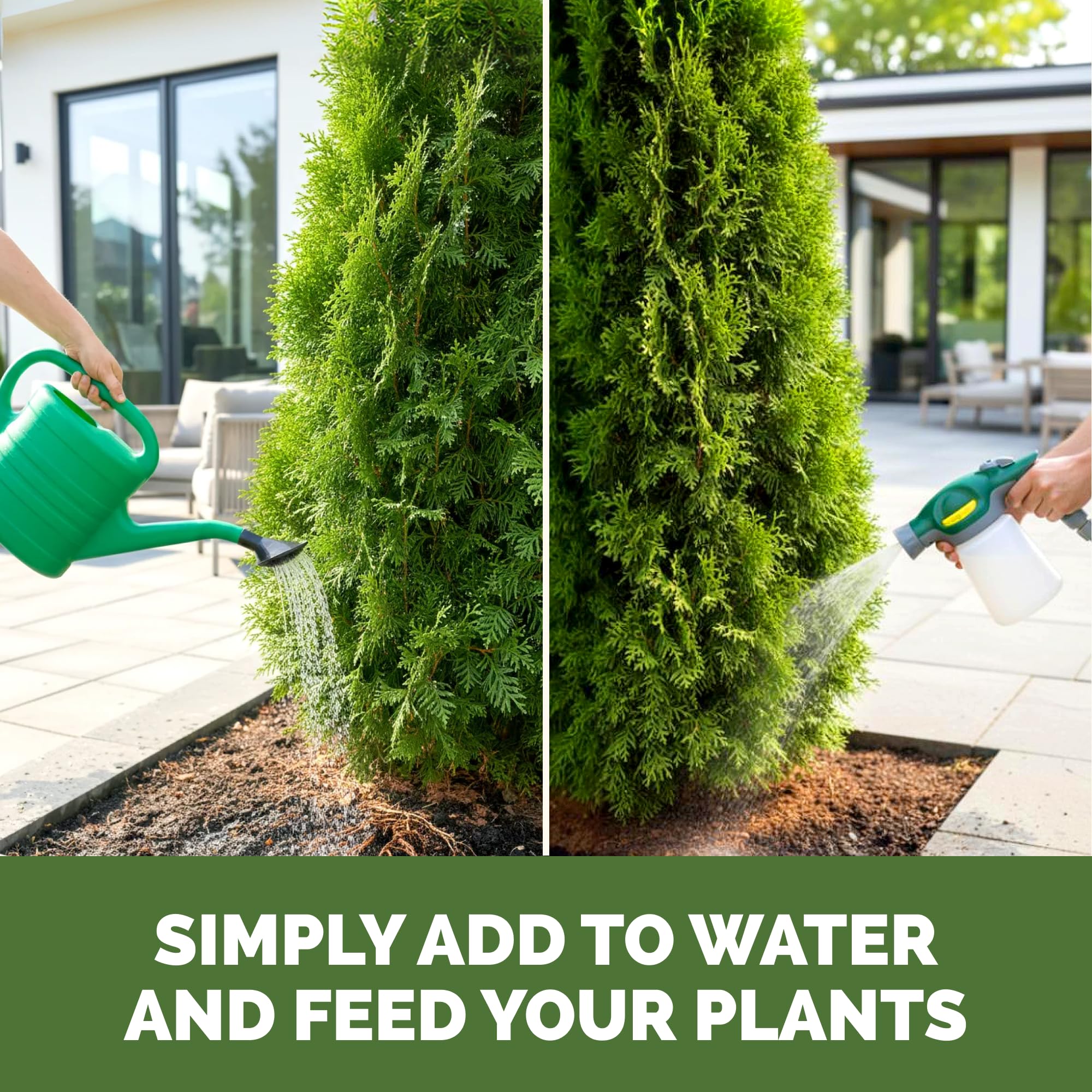 TPS NUTRIENTS Arborvitae Tree Fertilizer with protective gloves