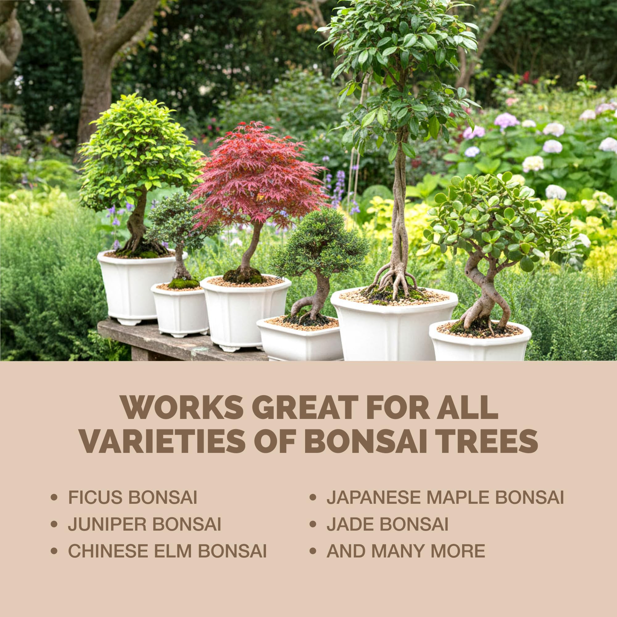 TPS NUTRIENTS Bonsai Fertilizer packaging with dimensions