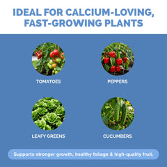TPS NUTRIENTS Calcium Nitrate Fertilizer bottle with plants in garden
