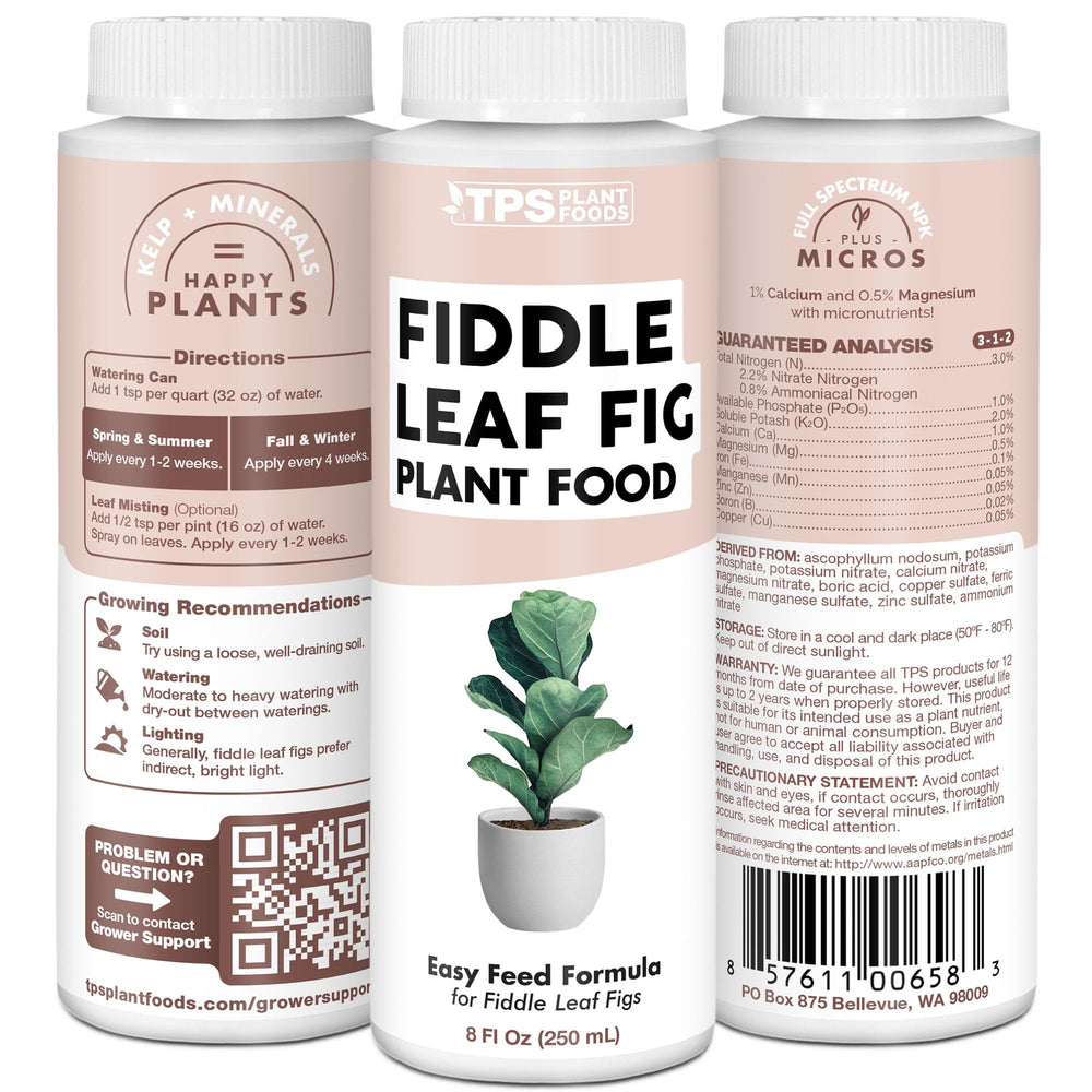 TPS NUTRIENTS Fiddle Leaf Fig Fertilizer on a garden table with fiddle leaf fig plant