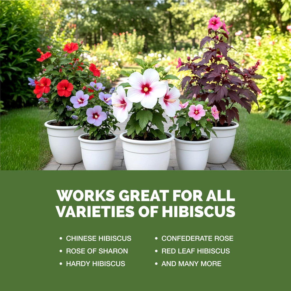 TPS NUTRIENTS Hibiscus Fertilizer displayed with blooming hibiscus plants