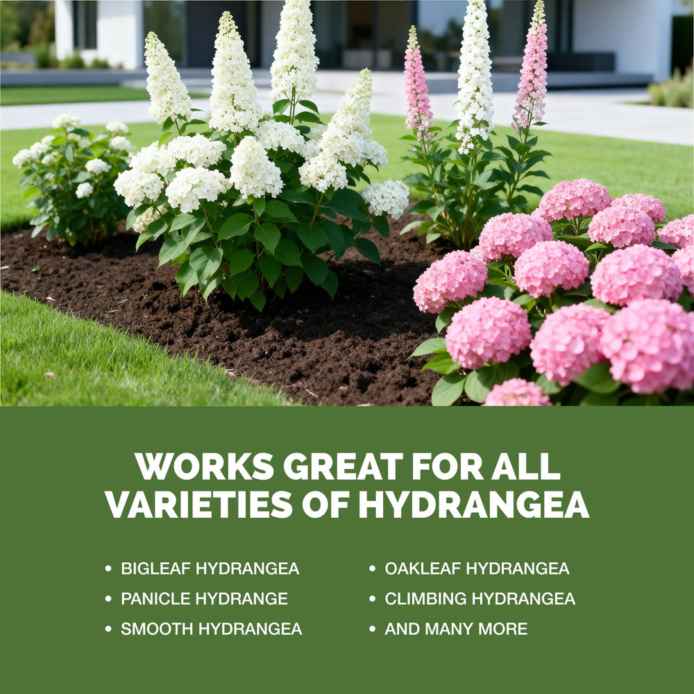 TPS NUTRIENTS Hydrangea Fertilizer in a garden setting