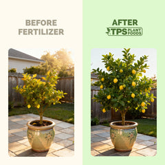 TPS NUTRIENTS Lemon Tree Fertilizer in a garden setting