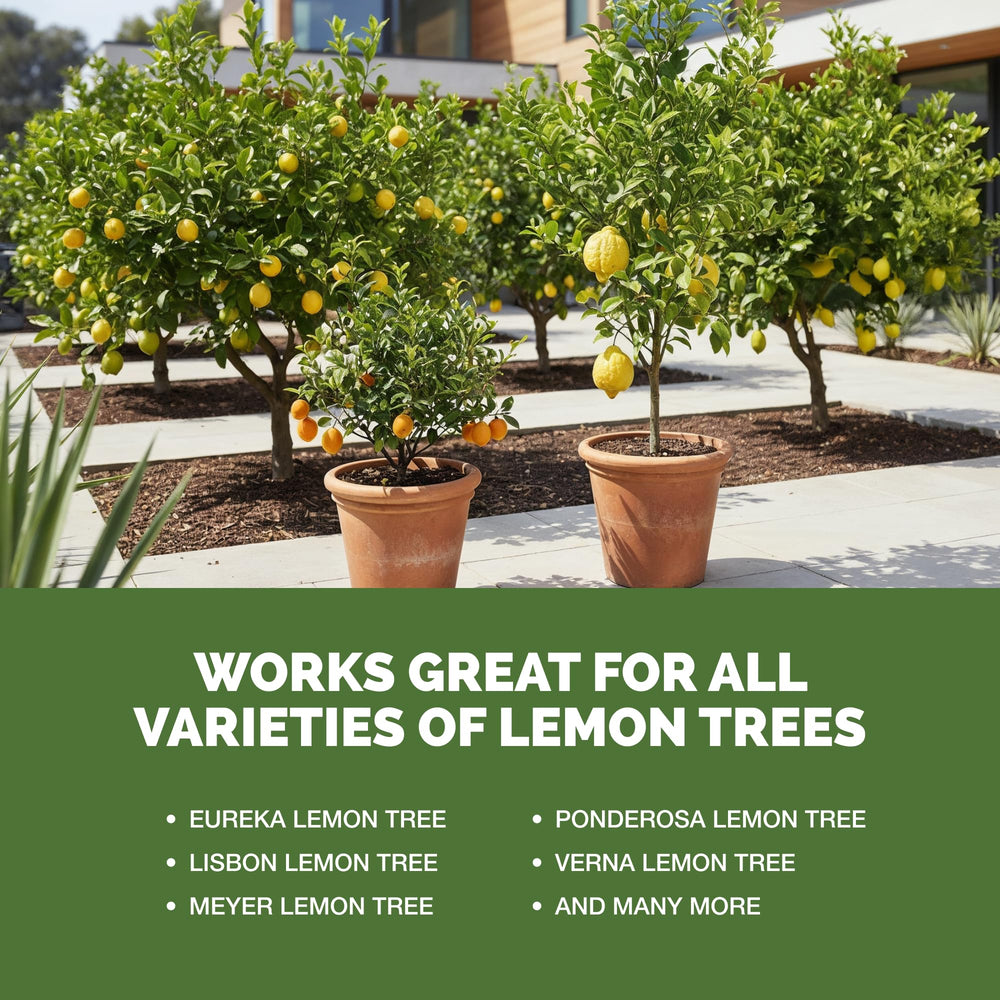 TPS NUTRIENTS Lemon Tree Fertilizer with citrus tree