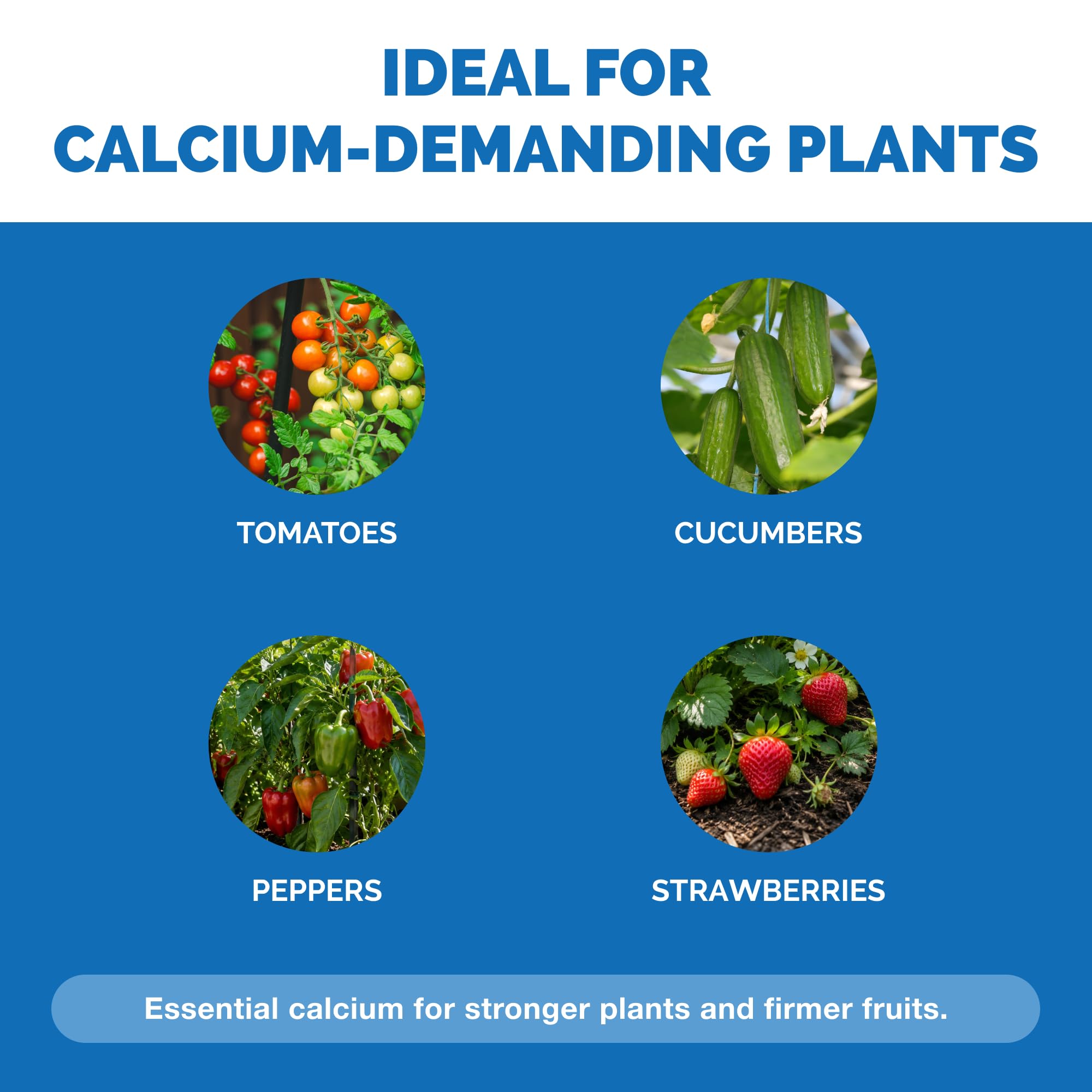 TPS NUTRIENTS Liquid Calcium 8 oz in a garden setting
