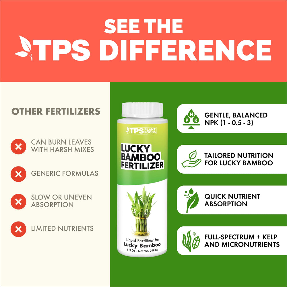 TPS NUTRIENTS Lucky Bamboo Fertilizer being mixed with water