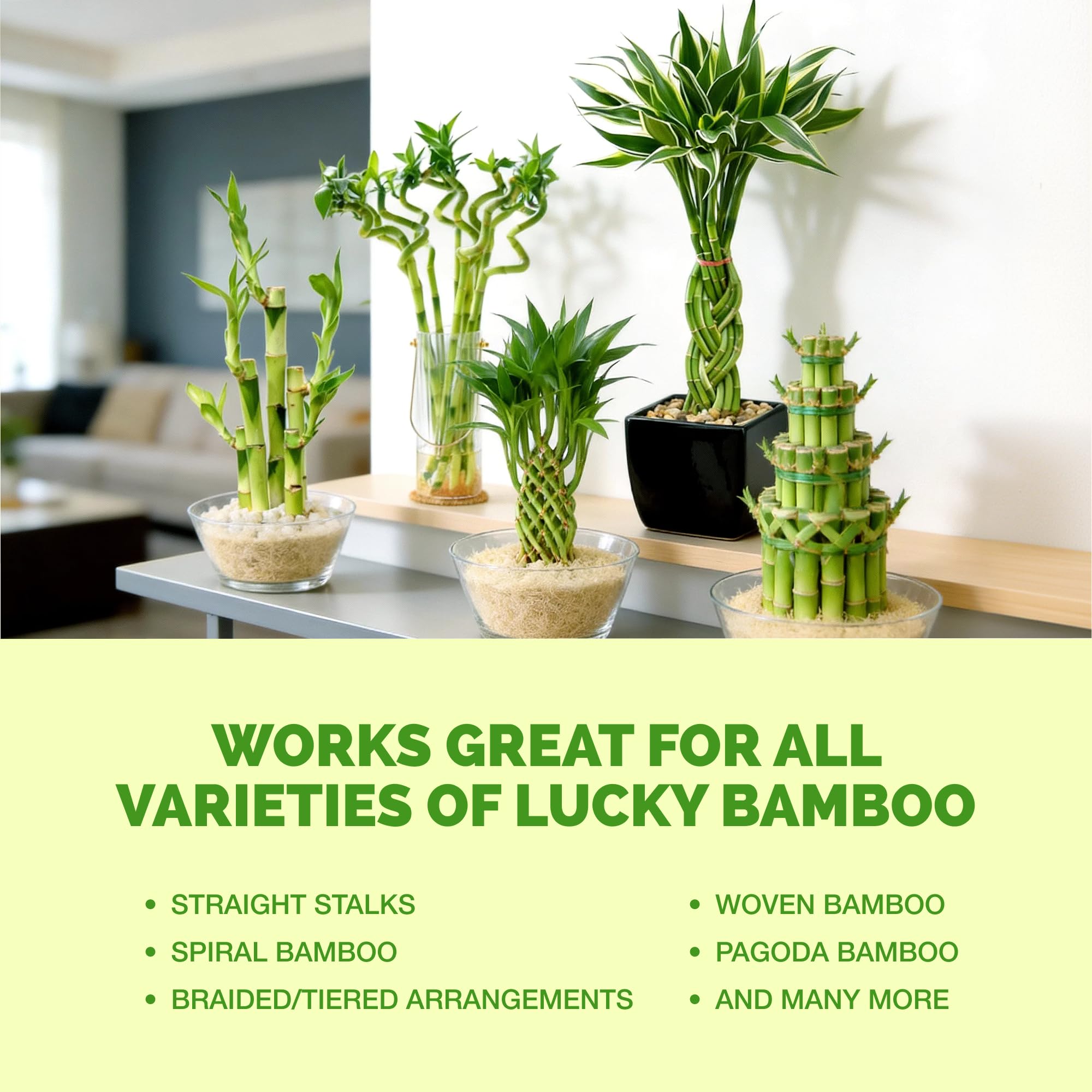 TPS NUTRIENTS Lucky Bamboo Fertilizer in a garden setting