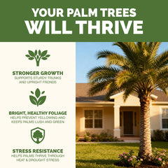 TPS NUTRIENTS Palm Tree Fertilizer 8 oz back view