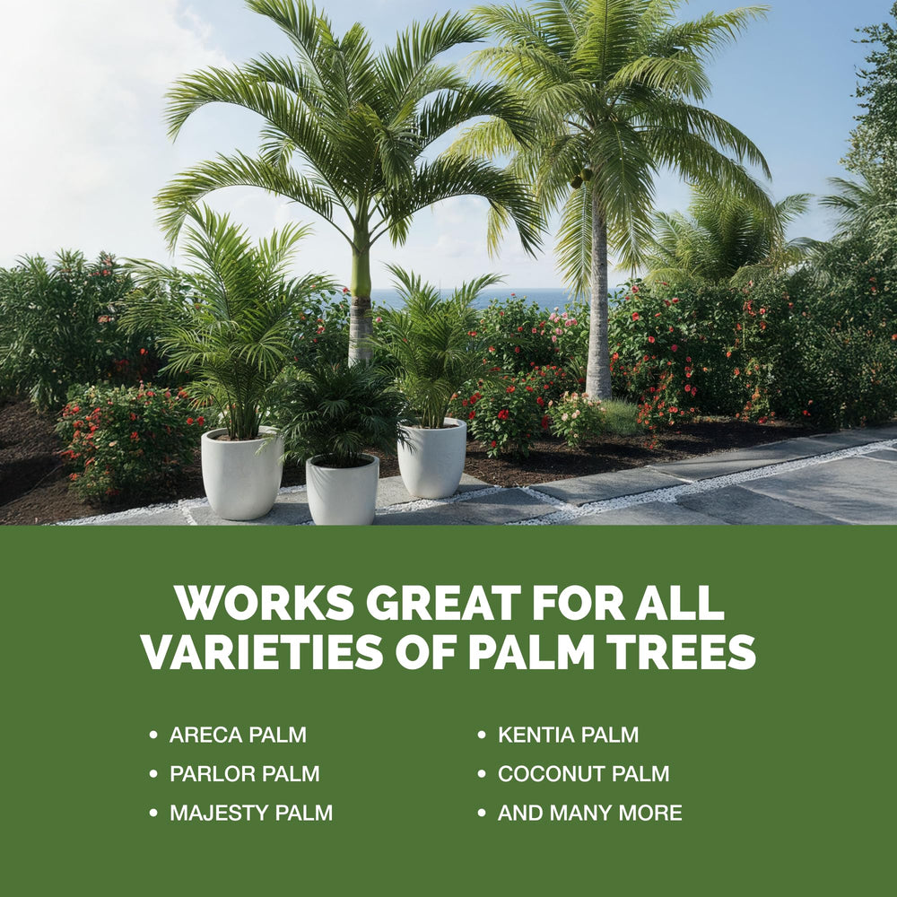 TPS NUTRIENTS Palm Tree Fertilizer applied to palm tree