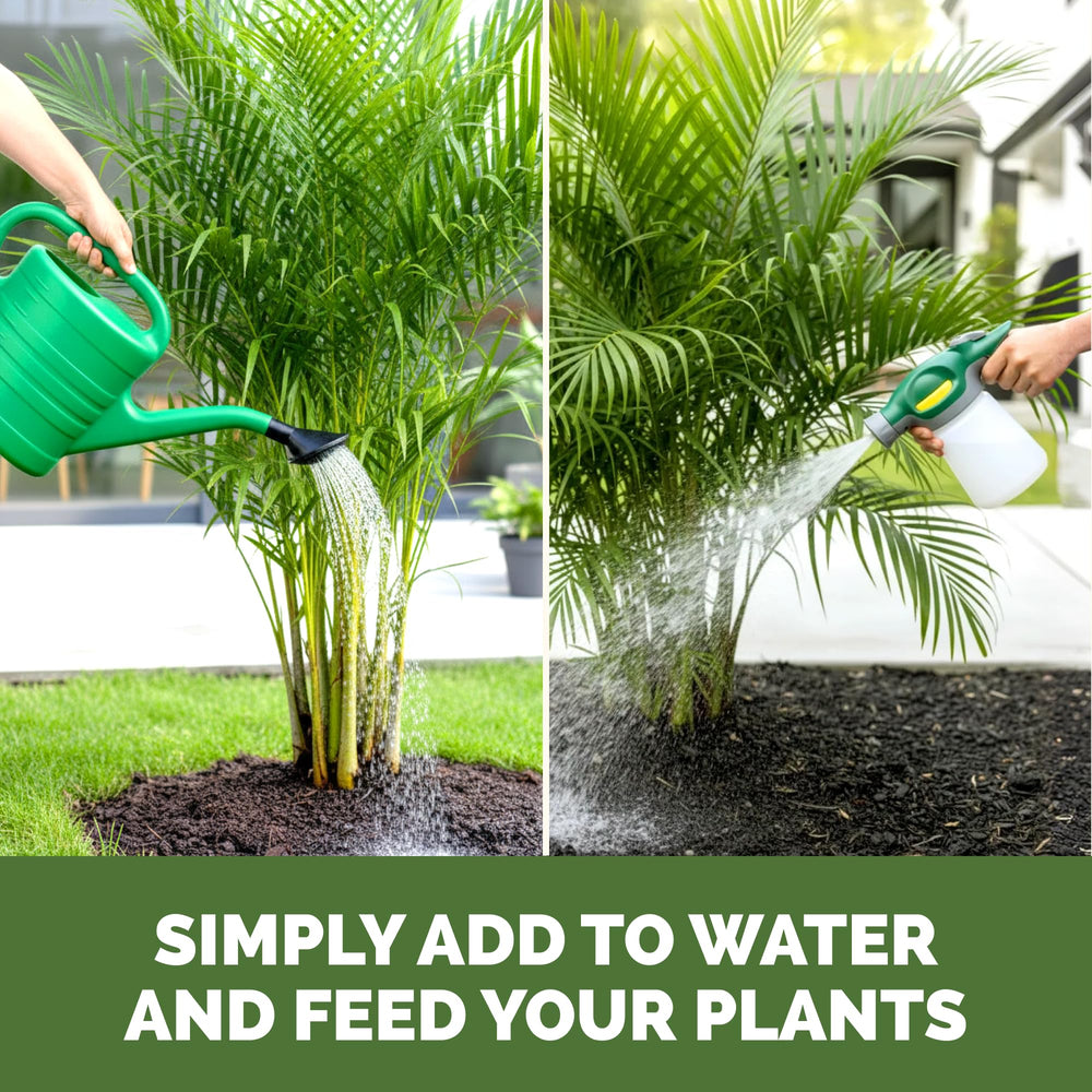 TPS NUTRIENTS Palm Tree Fertilizer with palm tree in background