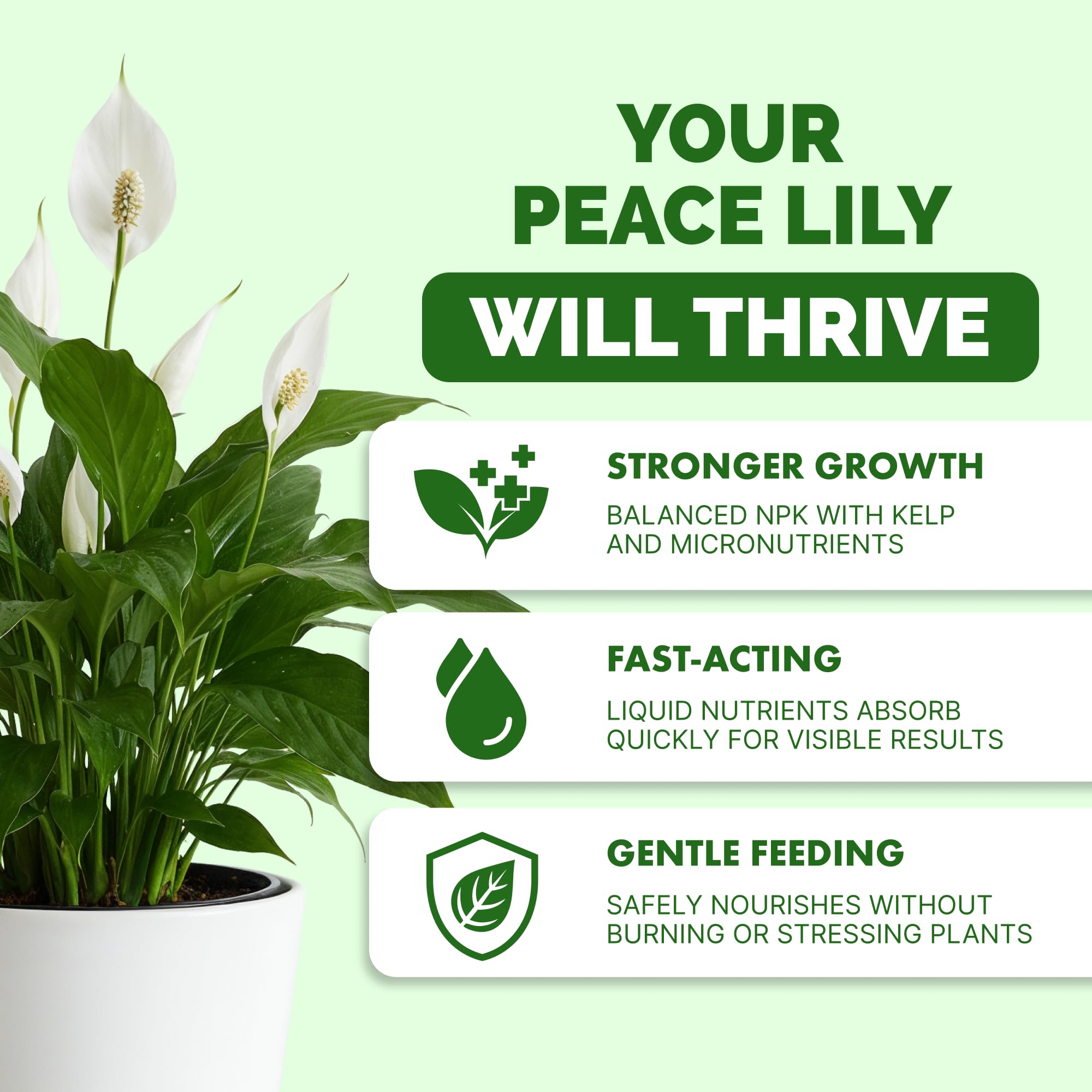 TPS NUTRIENTS Peace Lily Fertilizer 8 oz liquid food back view showing instructions
