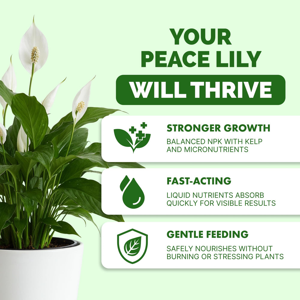 TPS NUTRIENTS Peace Lily Fertilizer 8 oz liquid food back view showing instructions