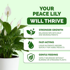 TPS NUTRIENTS Peace Lily Fertilizer 8 oz liquid food back view showing instructions