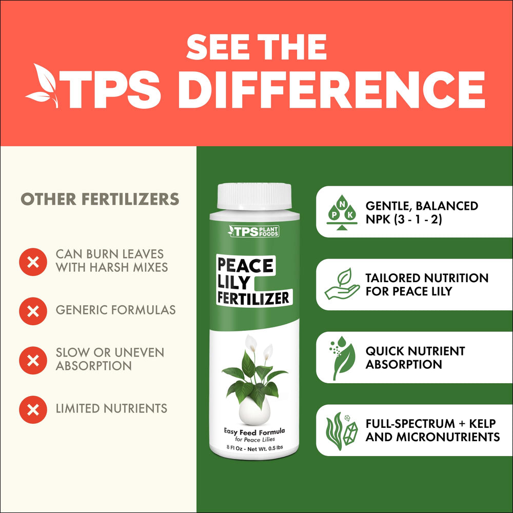 TPS NUTRIENTS Peace Lily Fertilizer in use, being applied to peace lily plant