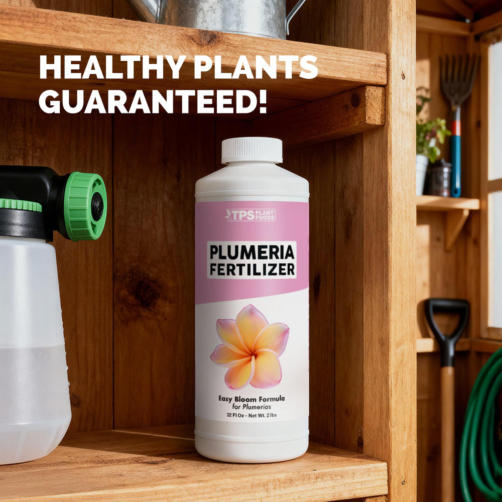 TPS NUTRIENTS Plumeria Fertilizer with blooming flowers