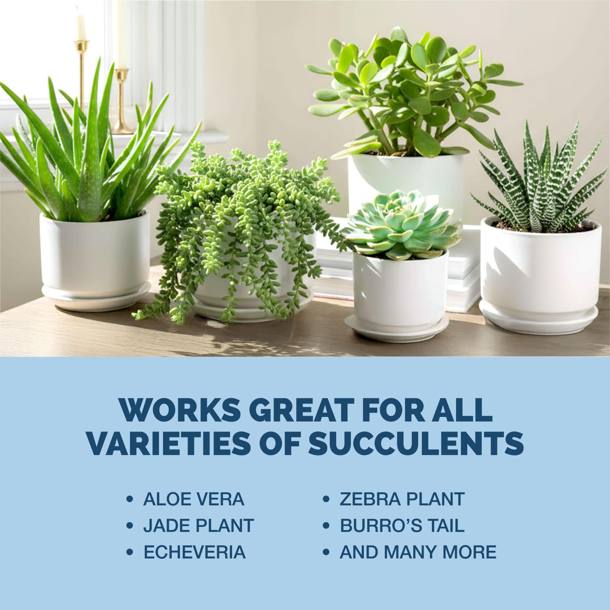 TPS NUTRIENTS Succulent Fertilizer bottle packaging