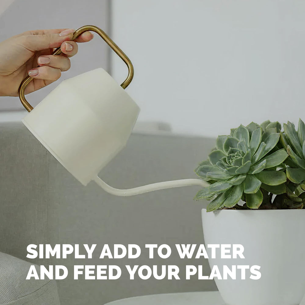 TPS NUTRIENTS Succulent Fertilizer usage with potted succulent
