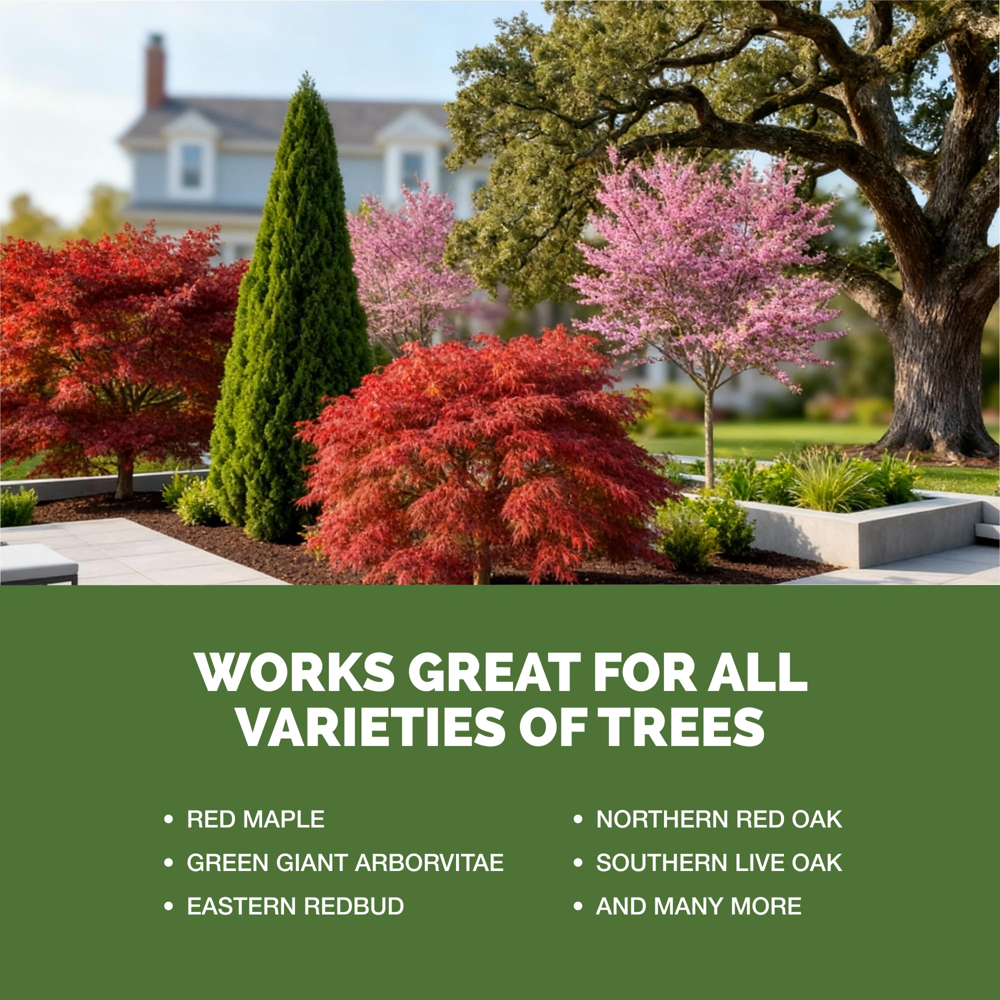 TPS NUTRIENTS Tree Fertilizer in garden setting