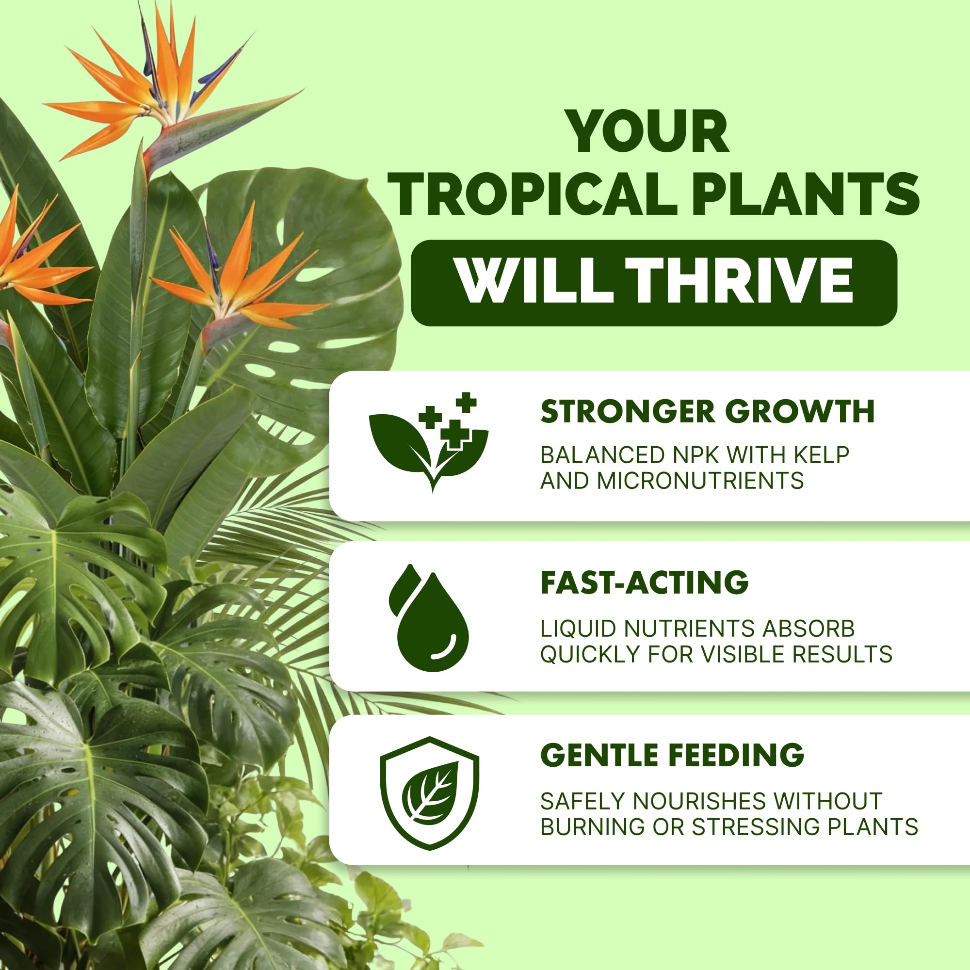 TPS NUTRIENTS Tropical Plant Fertilizer 8 oz bottle side view