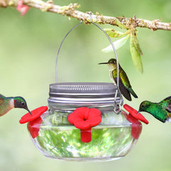 TPZAERK Mason Jar Hummingbird Feeder with red flower ports