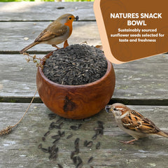 TRAILMARK NATURALS Black Oil Sunflower Seeds in a bird feeder