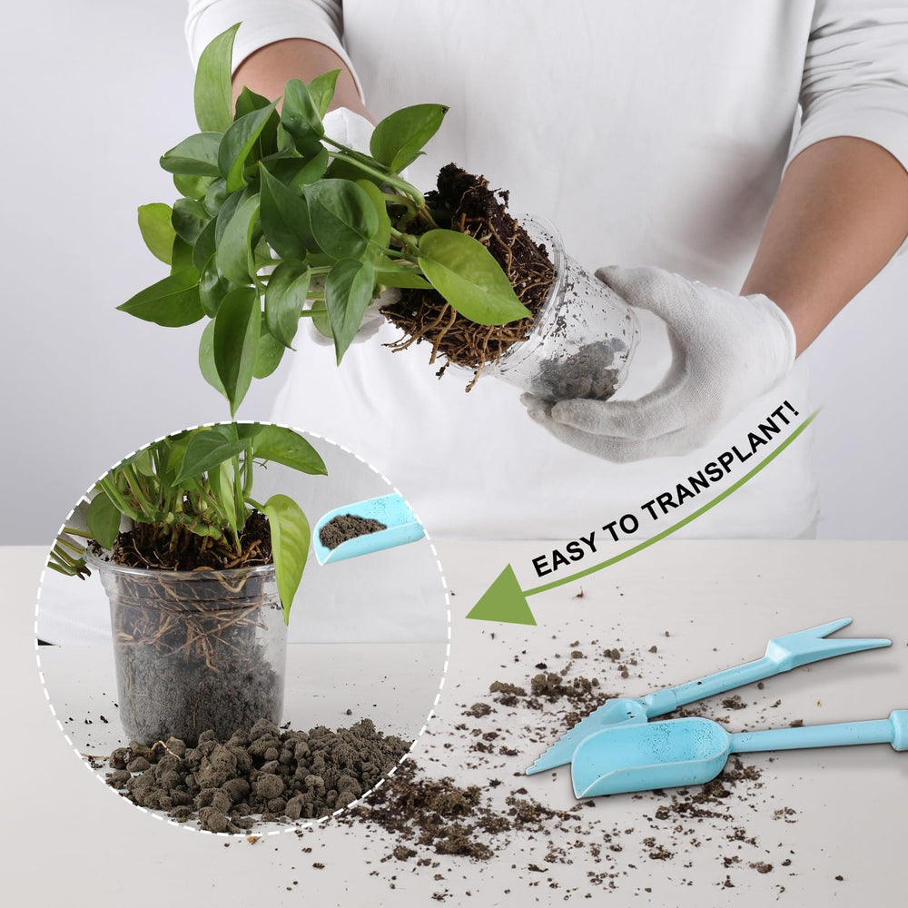 Transparent 3.5 inch nursery pots with plant labels